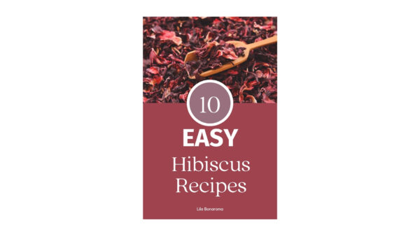 10 easy Hibiscus Recipes